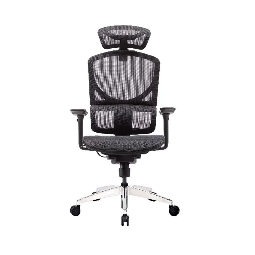 Ghế Công Thái Học GTCHAIR ISEE M - Đen (khung đen, lưới Đen)