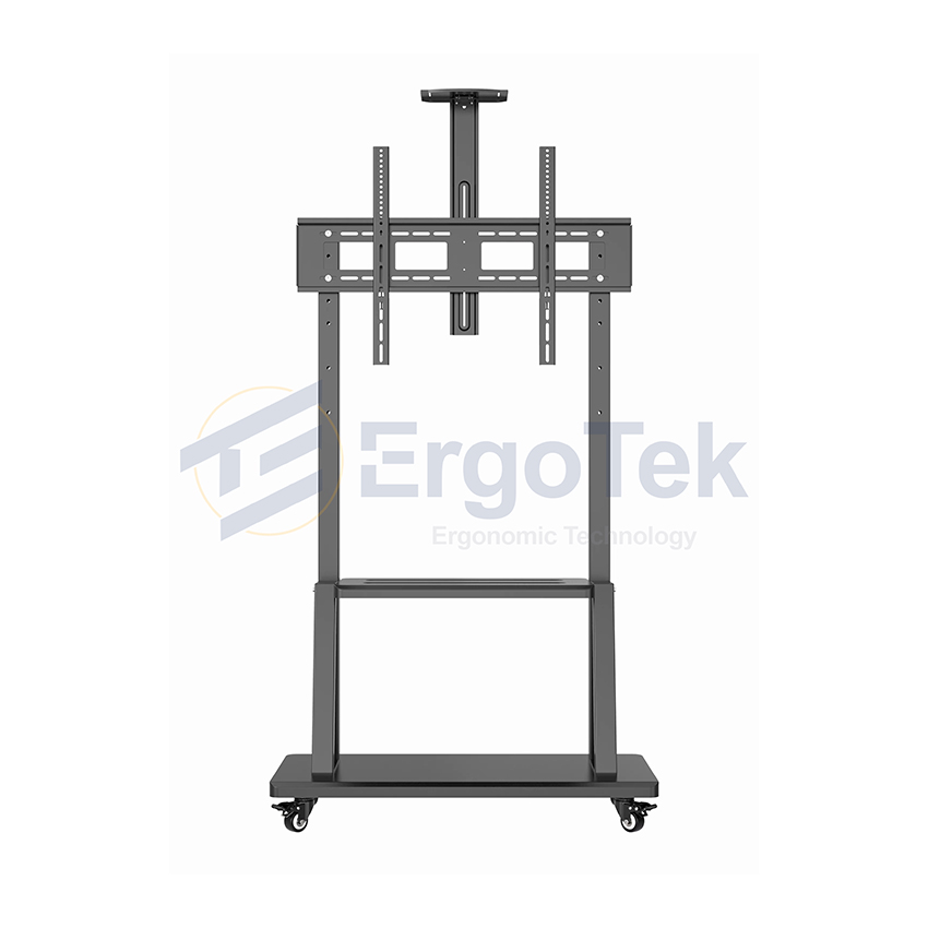 Giá treo TIVI di động Ergotek E2500 (55-100 inch) (Đặt được PC, máy chơi game)